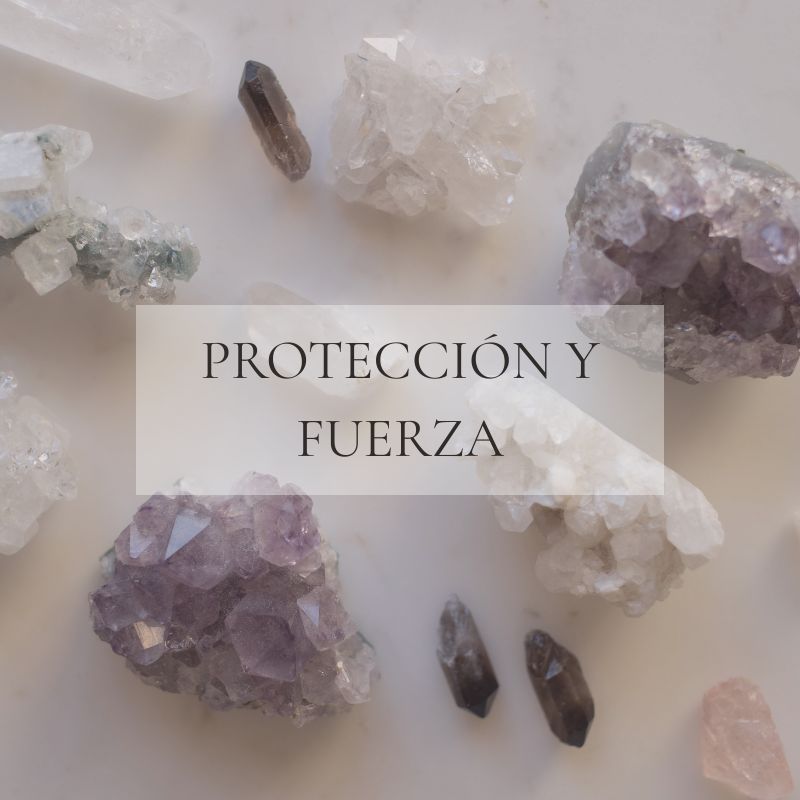 Protección y Fuerza